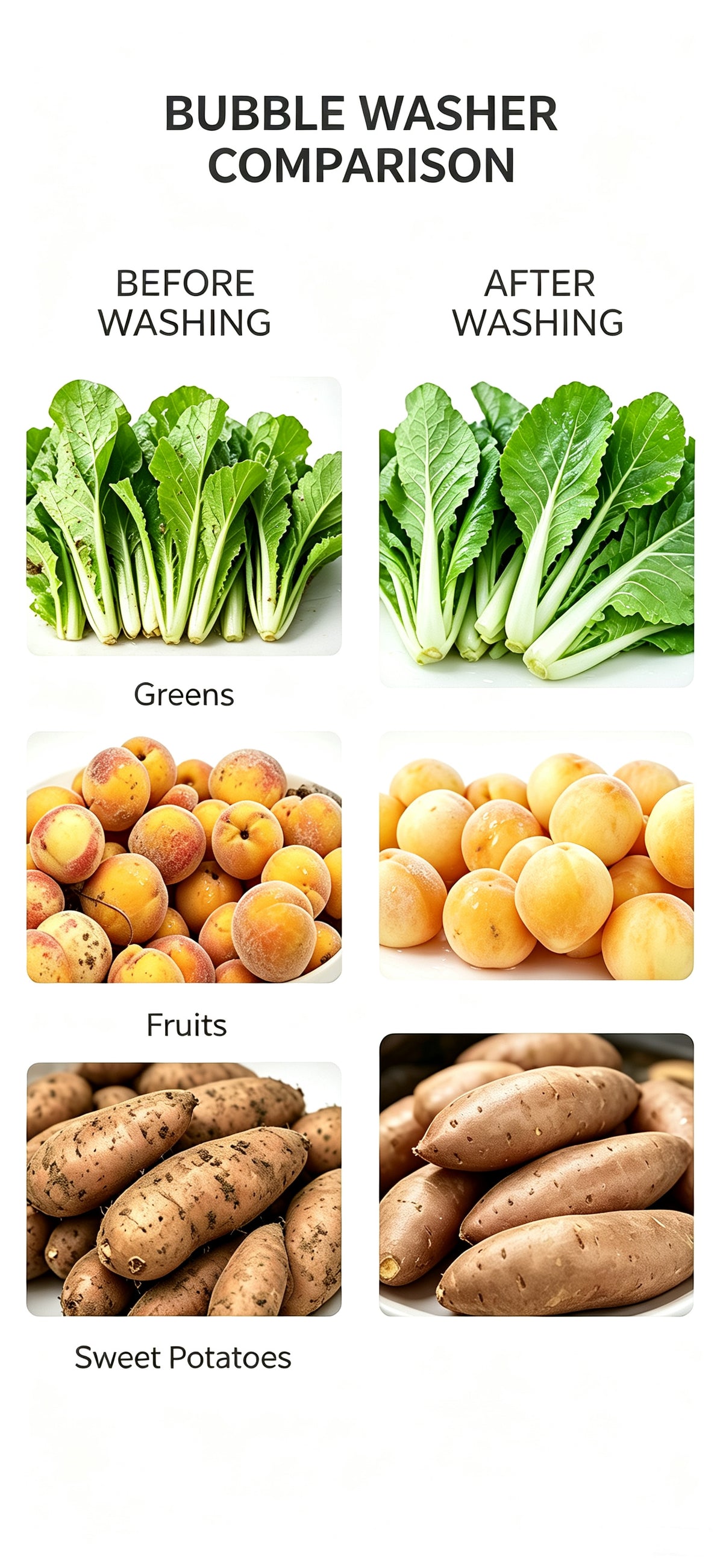 Fruit and Vegetable Washing machine