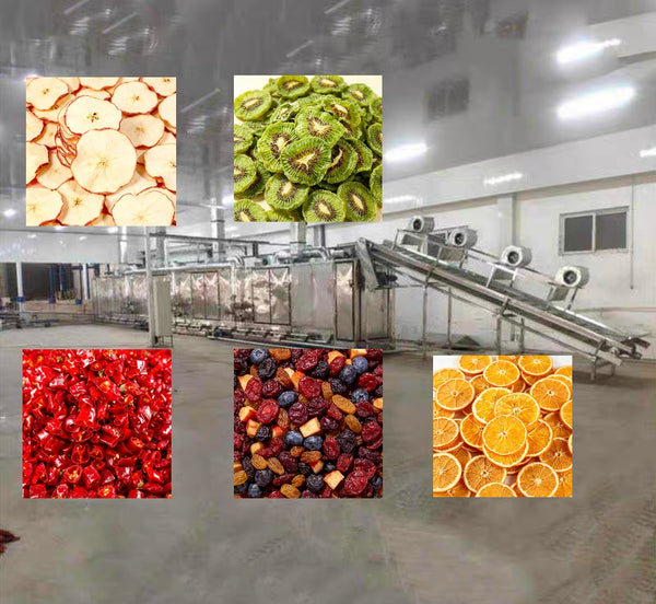 Dry Food Production Line