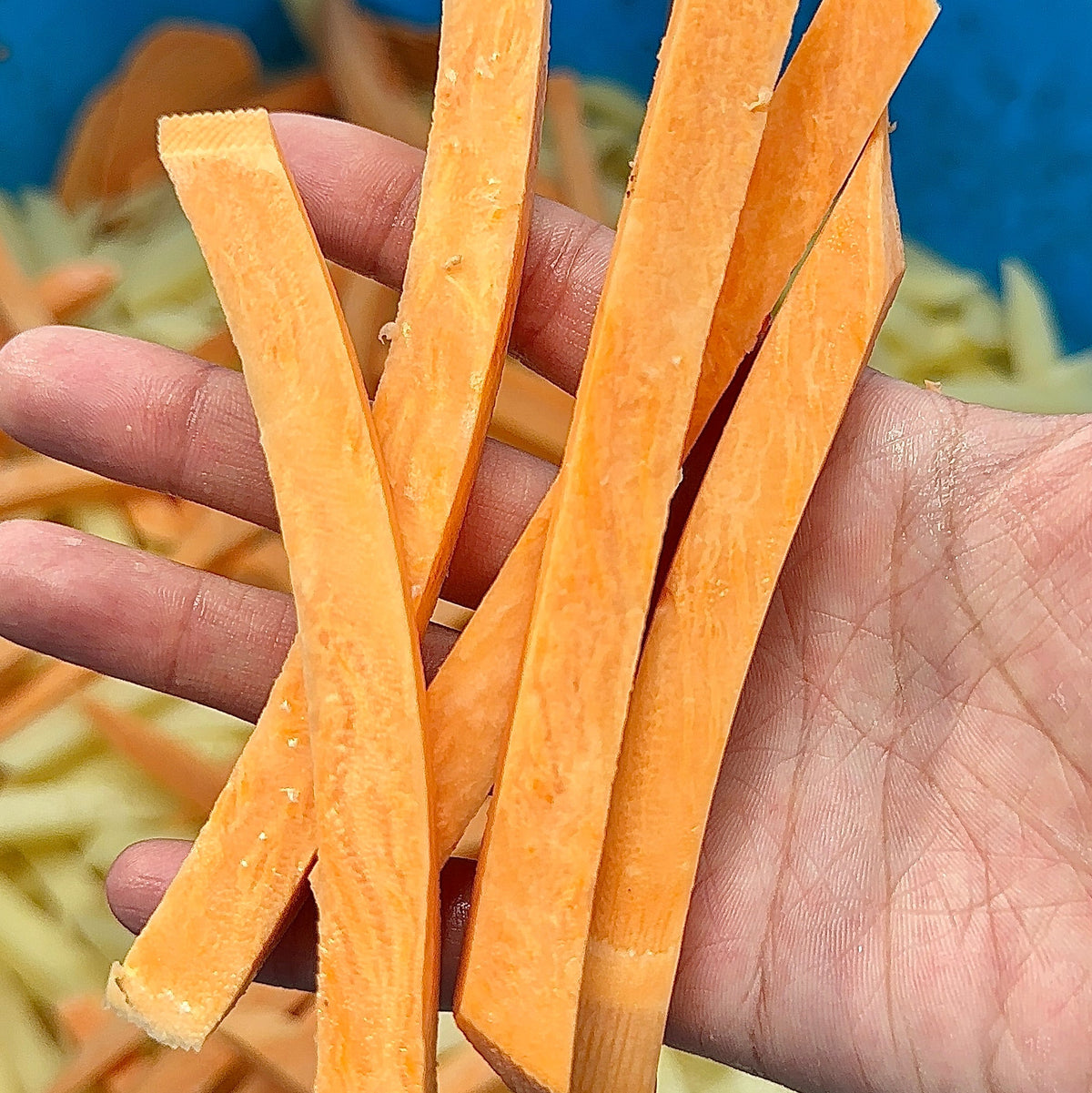 French Fry Machine