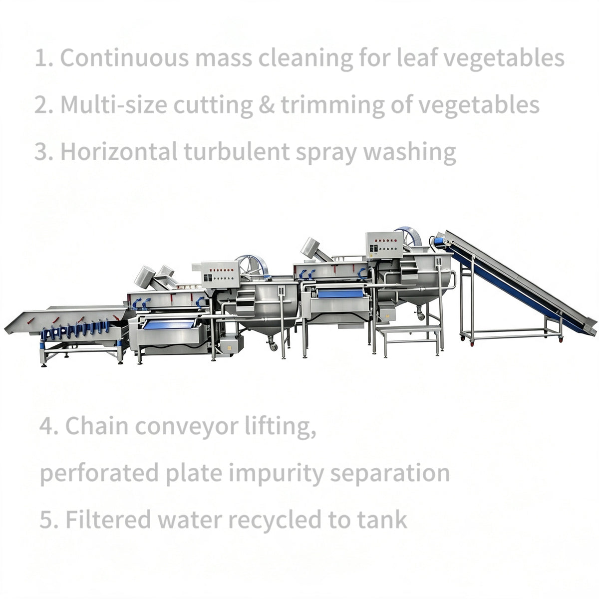 Vegetable Processing Line