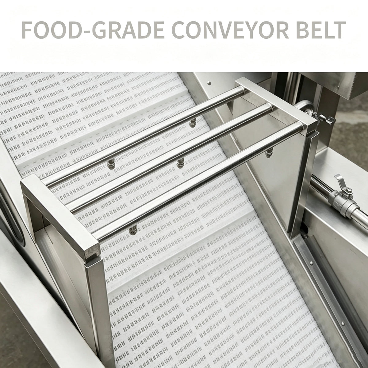 Fruit and Vegetable Washing machine