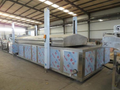 Industrial Blanching Machine